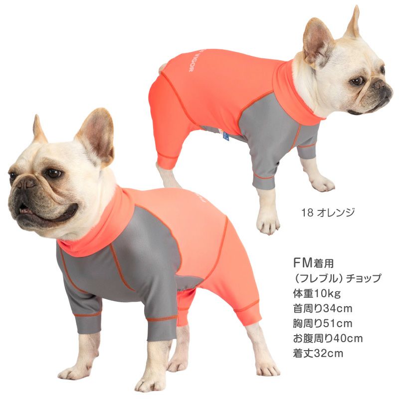 フレブル用 伸びて 着せやすい ドッグプレイ(R) 配色 撥水 ラッシュ