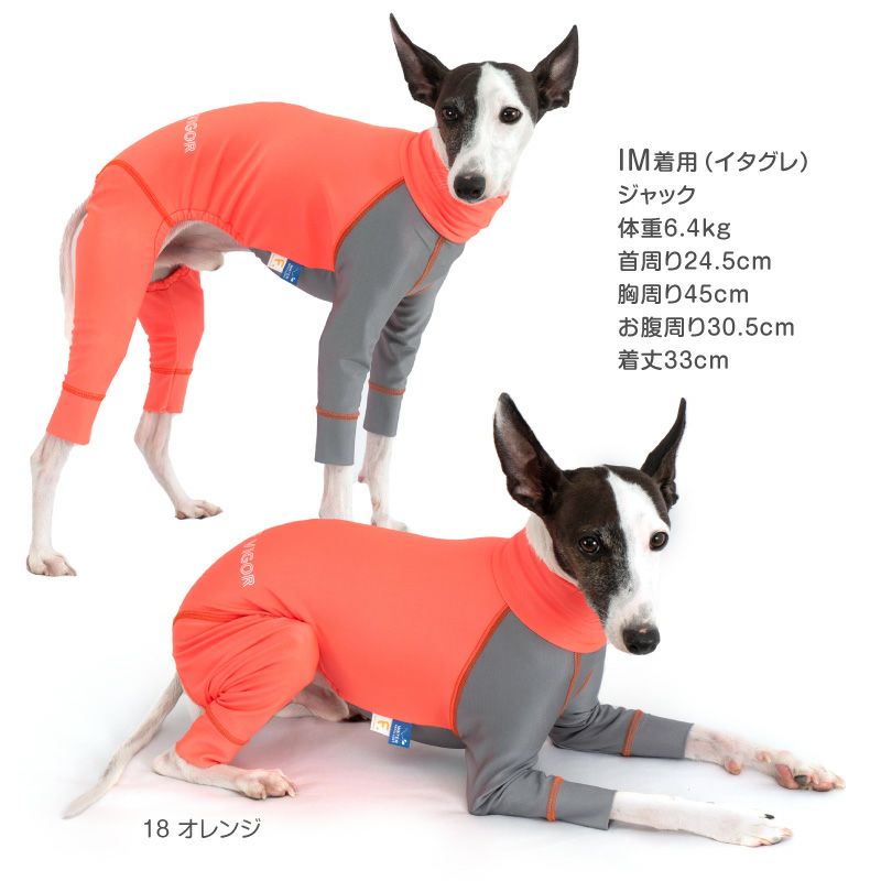 イタグレ用 伸びて 着せやすい ドッグプレイ(R) 配色 撥水 ラッシュ