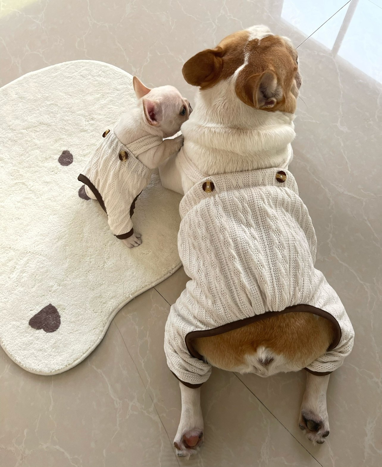 超可愛いさくらんぼ柄ワンピース 犬服 小型犬 猫服 ペット用品