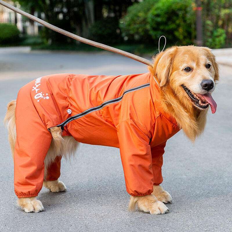 犬服 全身防水ドッグスーツ 機能性|犬服専門通販 Perry-dog