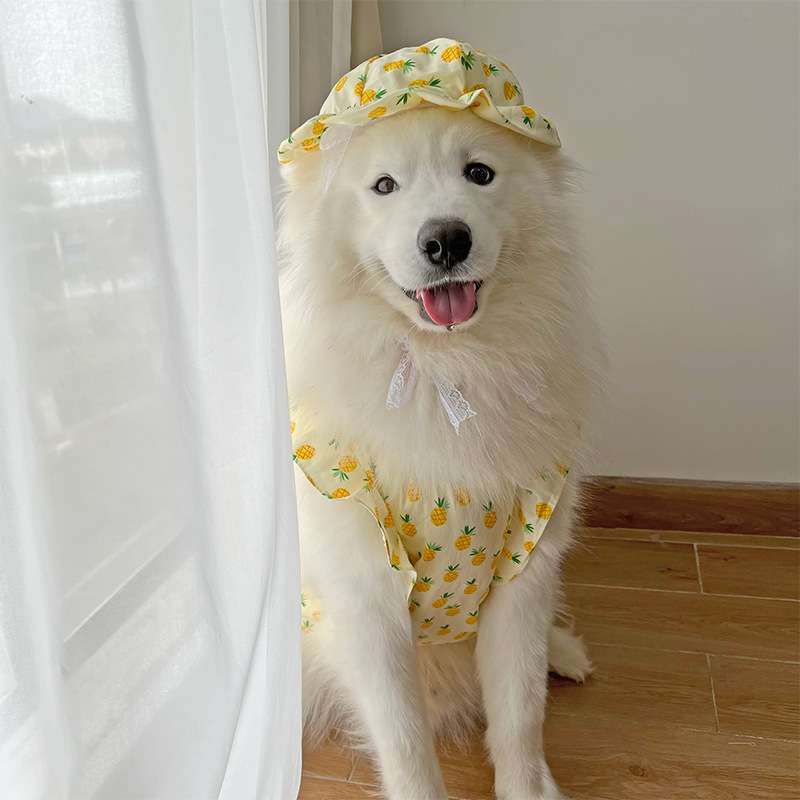 ☆犬服☆レースニットふんわりワンピースP. Sサイズ