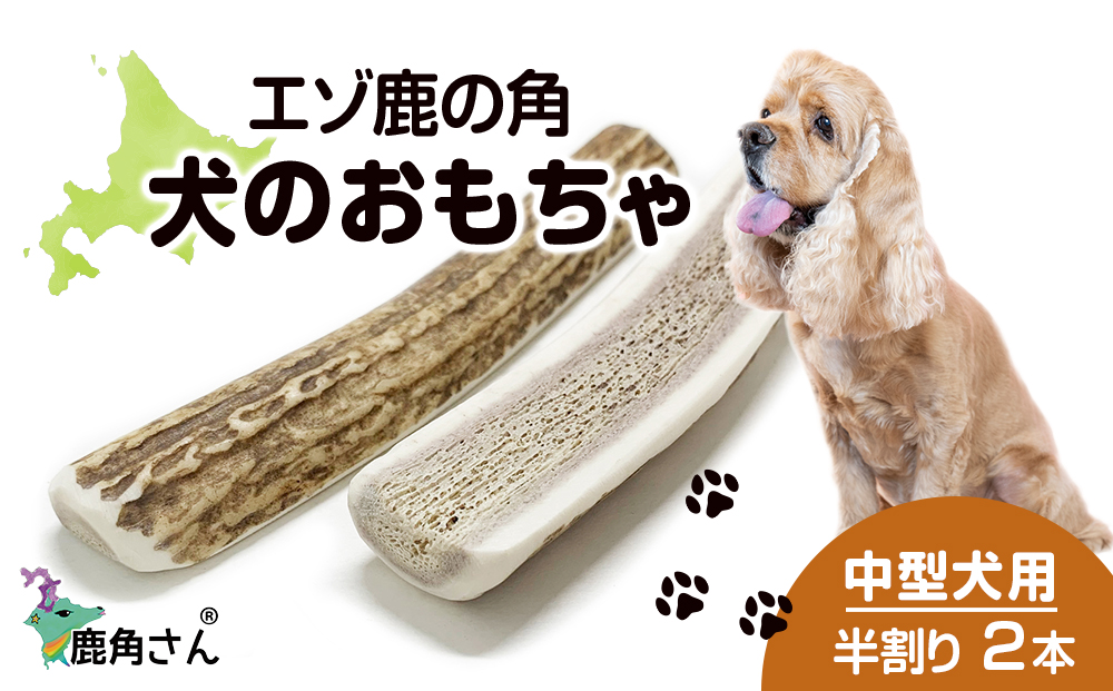 蝦夷鹿の角、犬のおもちゃ、工芸品などに！ 11番 犬用「鹿