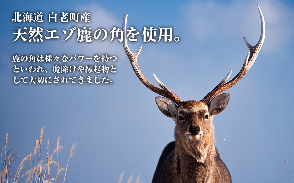 エゾシカの角 鹿の角 鹿の角 鹿のツノ 鹿角 鹿ツノ シカツノ