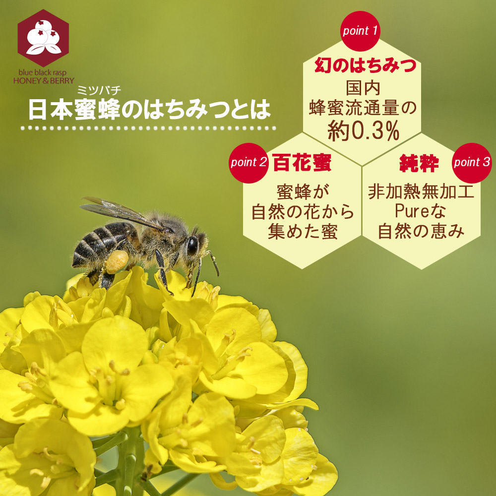 日本蜜蜂の天然ハチミツ 無添加 非加熱 内容量400g × 3本 日本蜜蜂