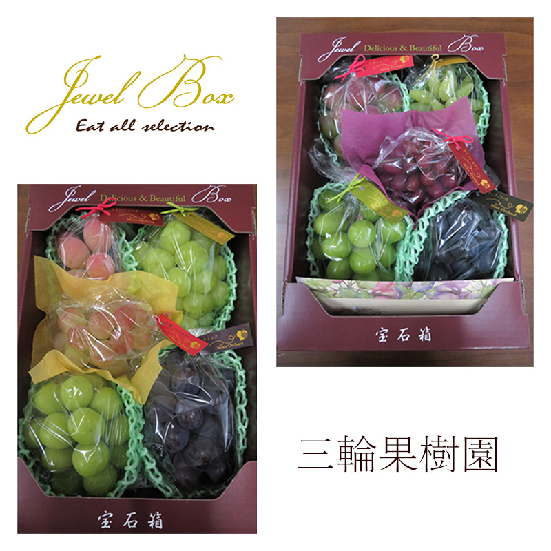 ぶどう 2026年 先行予約 ジュエルボックス 皮ごと食べることのできる