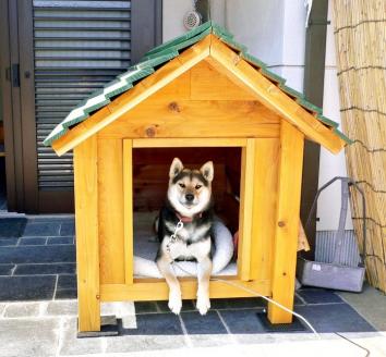 zkh2手作り・オーダーメイドな犬小屋専門店『犬小屋製作工房K』製作ご
