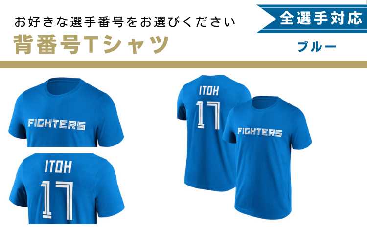 返礼品をさがす | ファイターズふるさと納税