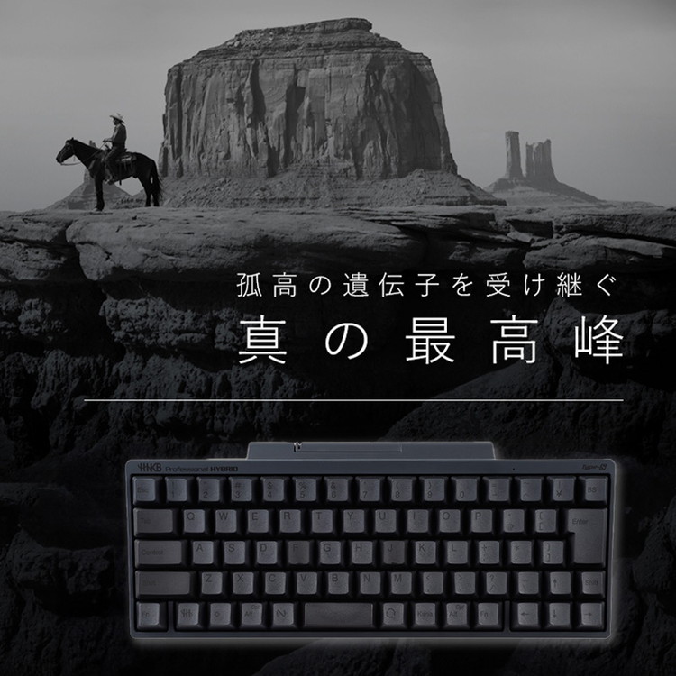 HHKB HYBRID Type-S 英語配列 墨 美品 HHKB Professional HYBRID Type