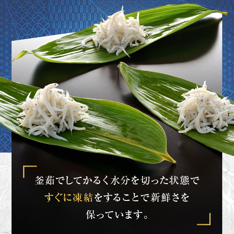 釜揚げしらす 6パック ( 160g × 6パック ) 約 1kg 天然 大洗 しらす