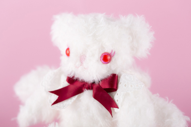 うさくみゃちゃんとくまくみゃちゃん ぬいぐるみ付きえほん 【付録