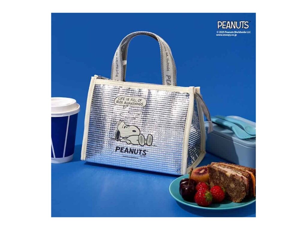 フラゲレビュー】SPRiNG（スプリング）2025年9月号《特別付録》サイズ