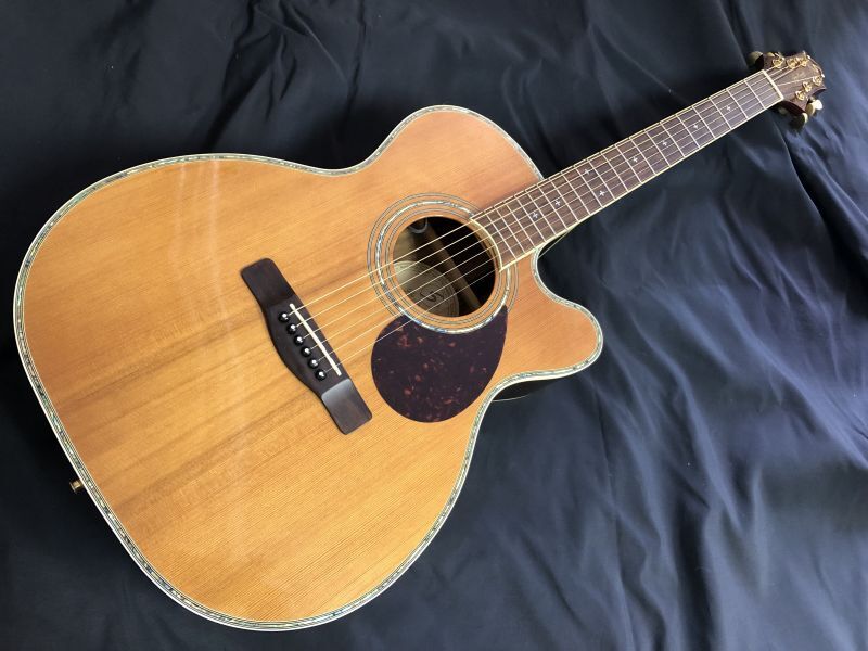 Greg Bennett / OM8CE トップ単板 エレアコ 美品 Greg Bennett / OM8CE