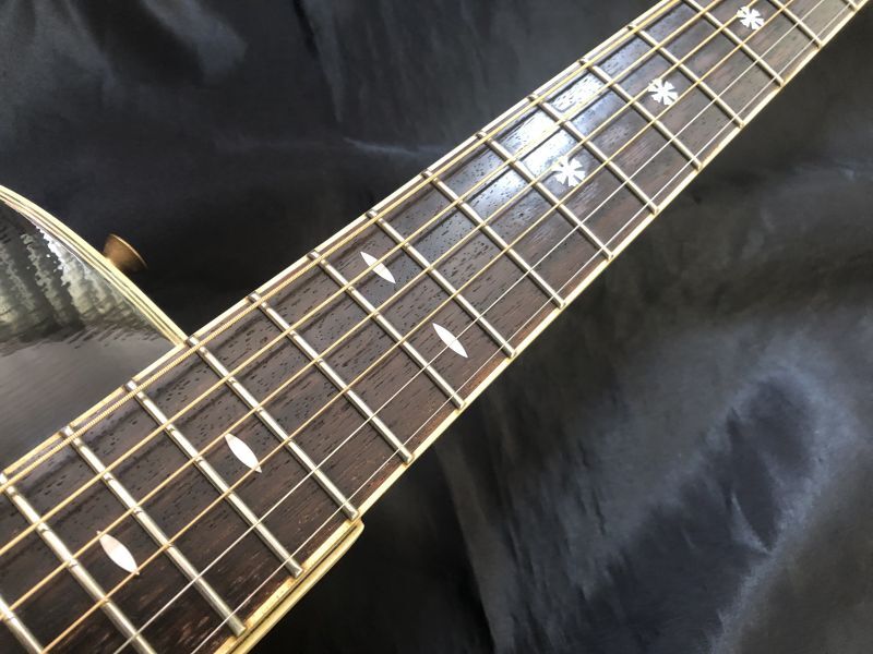 Morris / Tornado ZII-HG エレアコ - HR/HMギター専門店 FUTURE WORLD