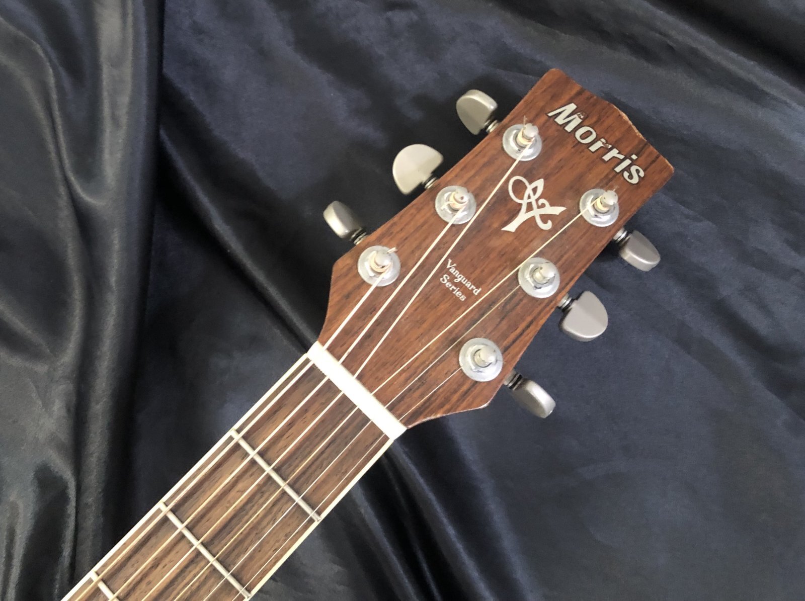 Morris MV-701 アコースティックギター Acoustic Guitar Morris MV-701