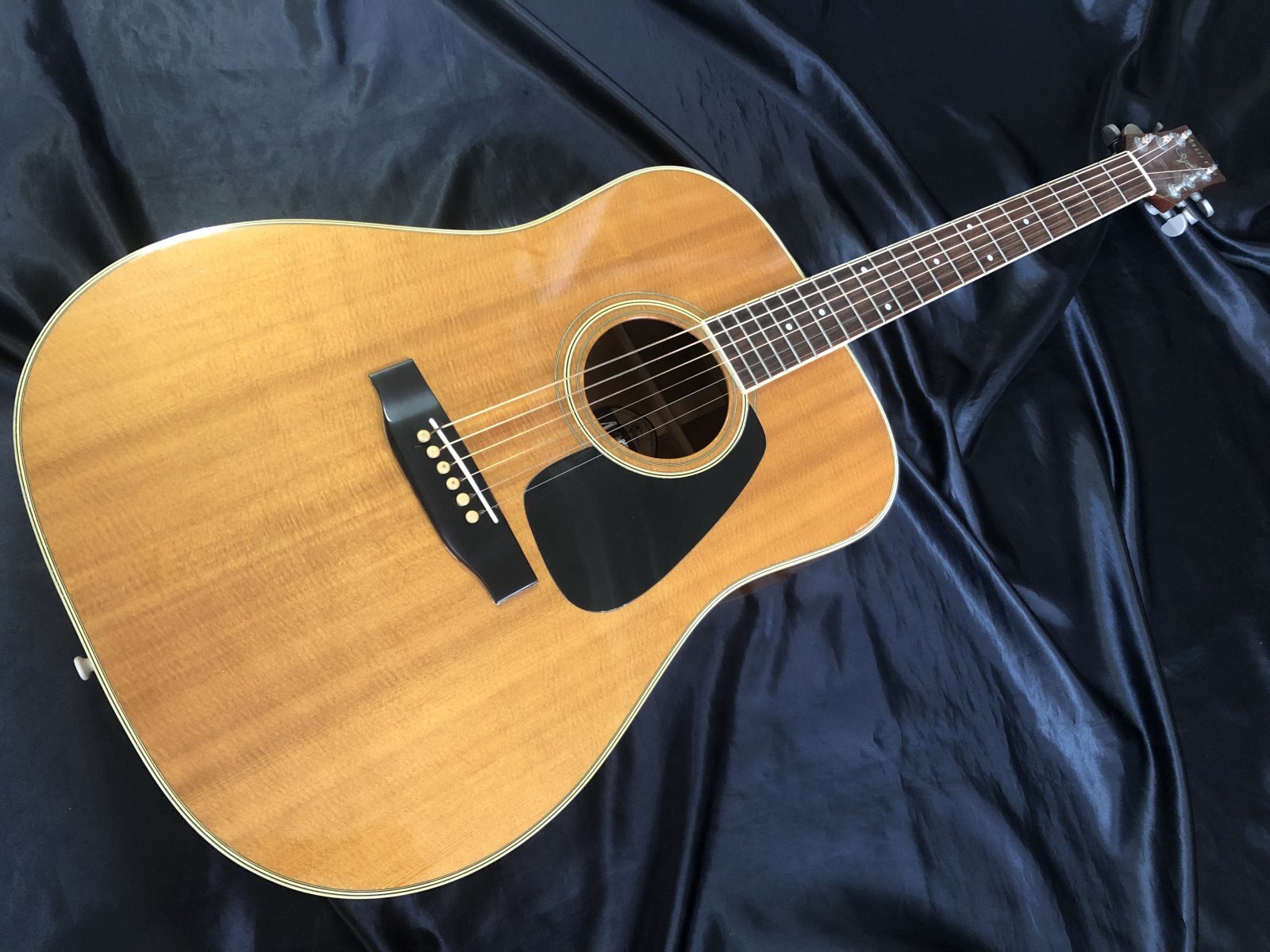 Morris / MV-701 モーリスアコースティックギター