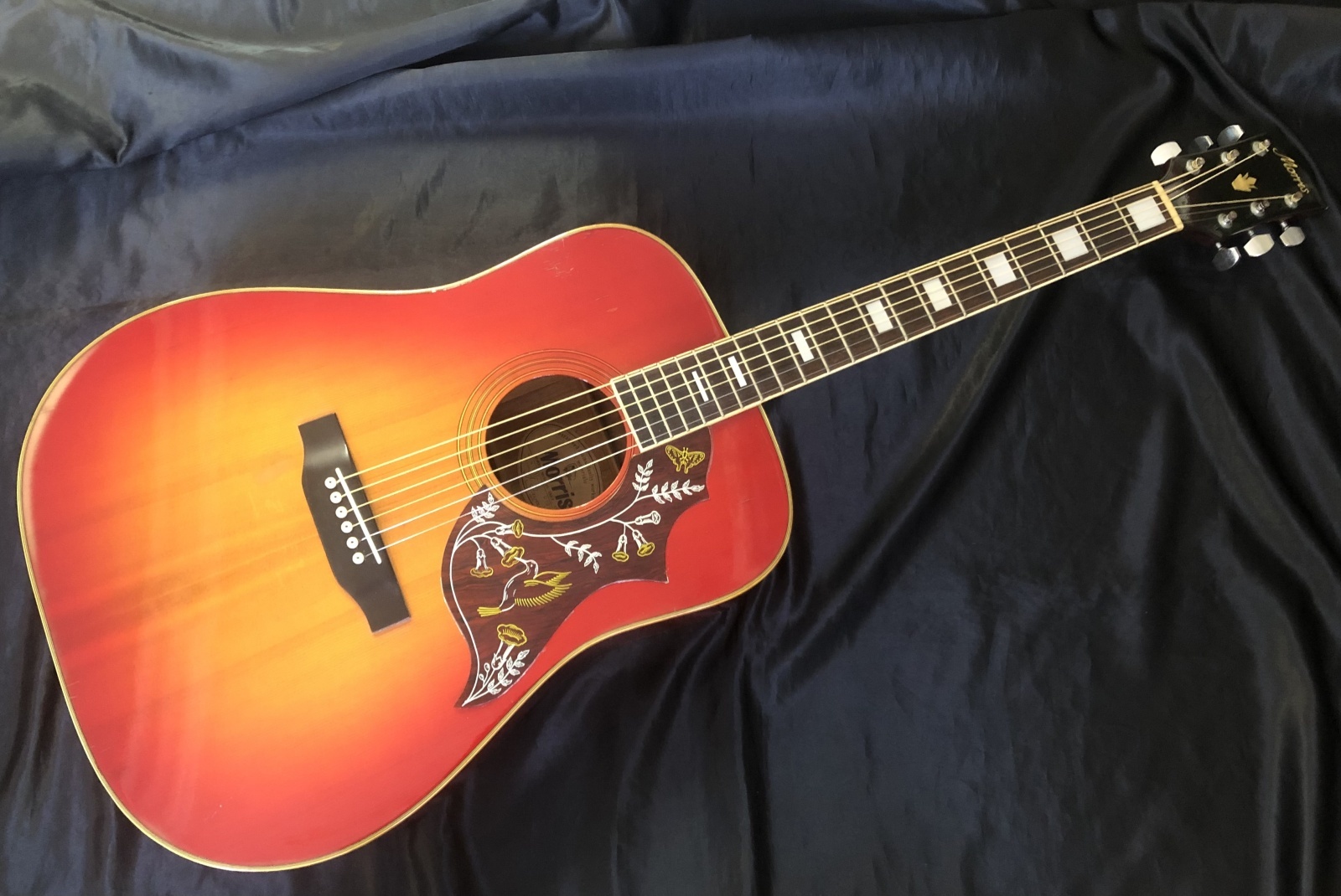 Morrisモーリス ハミングバード WH-25 Morris / WH-25 ハミングバード