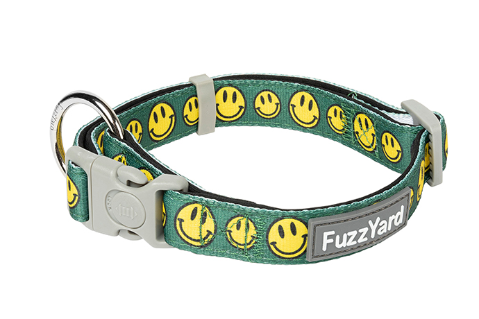 ネオプレン】カラー（首輪） ビギースマイルズ | FuzzYard