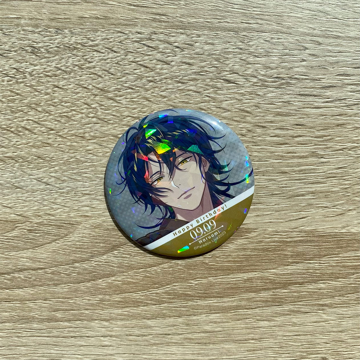 パラライ 真夏の幻影 缶バッジ 辰宮晴臣 16点 パラライ 真夏の幻影 缶