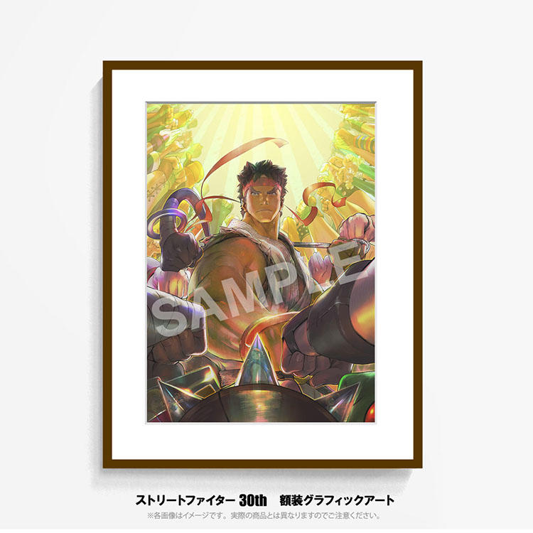 ストリートファイター 30th 額装グラフィックアート シリアルナンバー