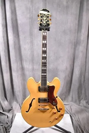 Epiphone/エピフォン エレキギター/セミアコ Sheraton II NA - 楽器の
