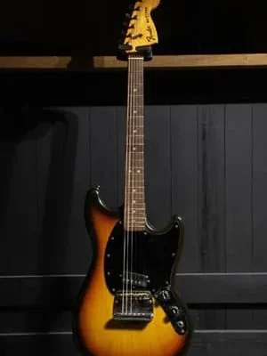 Burny RSA-60 バーニー エレキギター セミアコ ホロウボディ - 楽器の