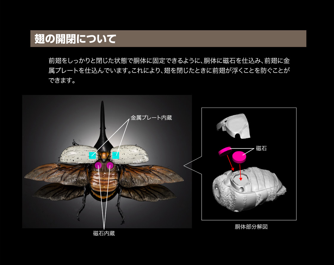いきもの大図鑑プレミアム ヘラクレスオオカブト（ヘラクレス