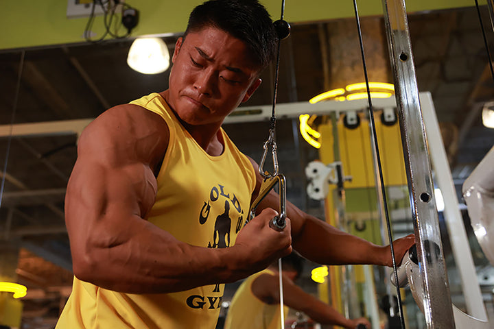 EXゴールズドライタンク（シルエットジョー） – ゴールドジム公式