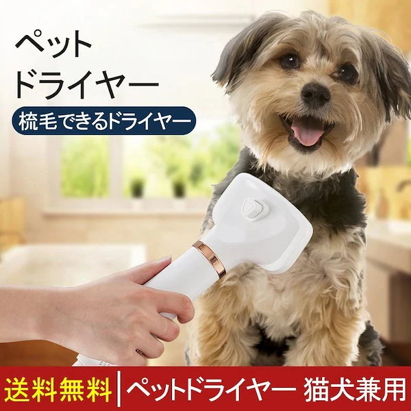 パルッキー直本工業美容室美容師