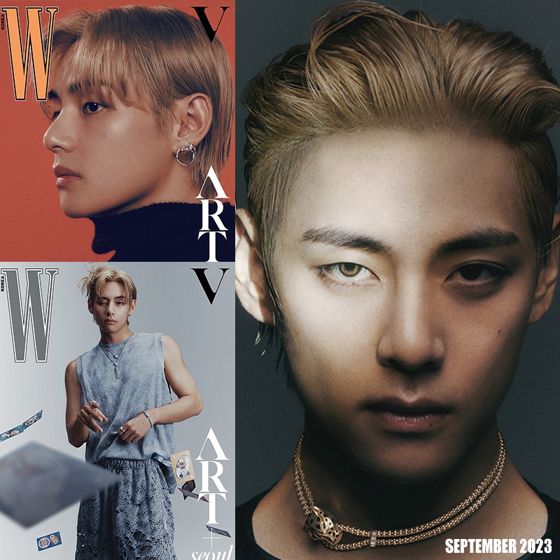 BTS キムテヒョン テテ V グッズまとめ BTS キムテヒョン セット キム