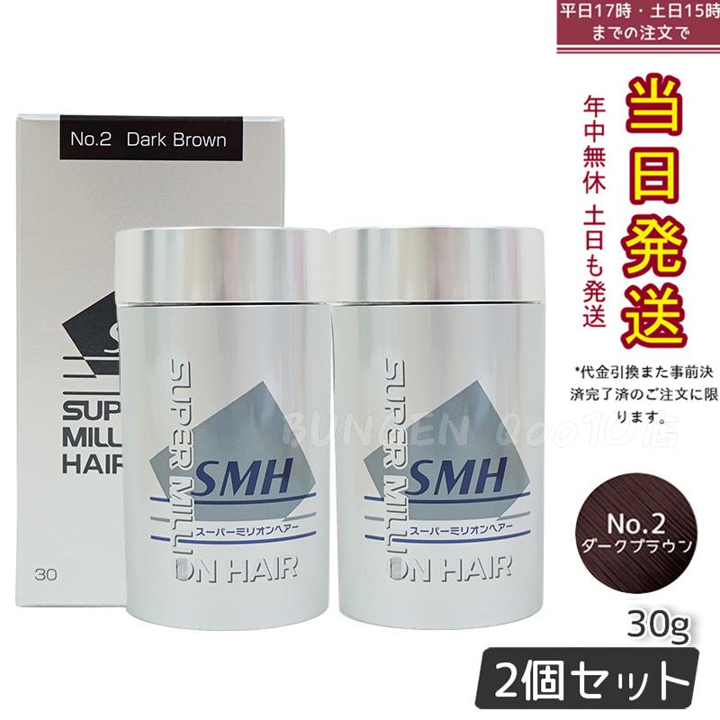 齋藤光晴 水車小屋のある風景