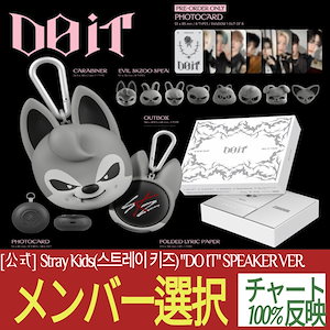 stray kids do it スピーカー