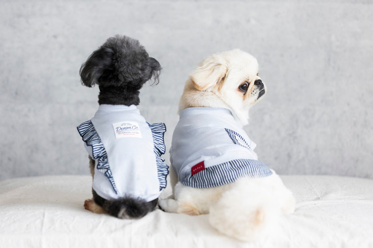 ハンドメイドオーダー小型犬犬服