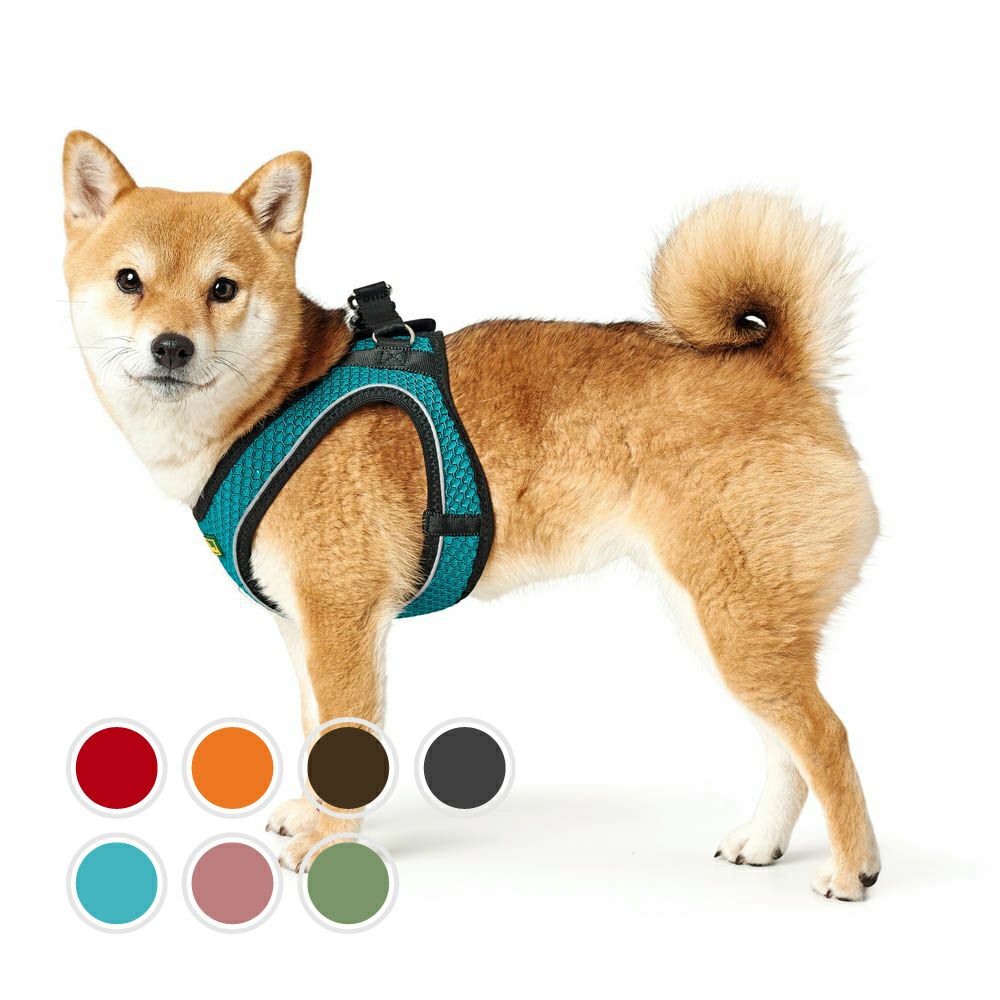 HERMES 犬服 ドッグウェア レインケープ リード ハーネス XSサイズ 犬