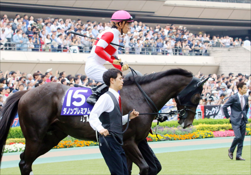 JRA川田将雅「ダノックス」に乗り続けられる理由。 天皇賞・秋（G1