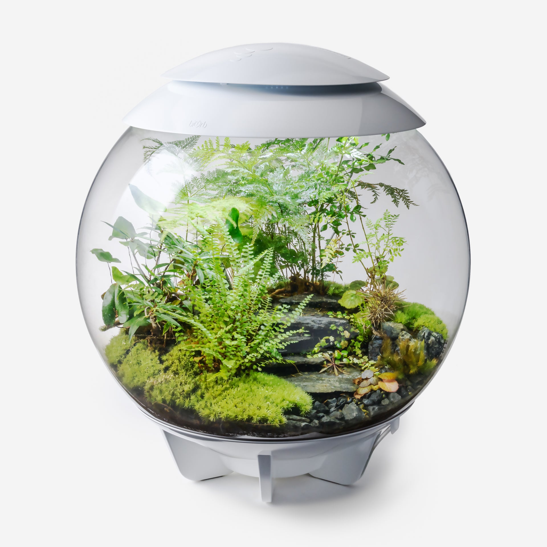 BiOrb AIR 60 バイオーブエア60 – g KEYAKIZAKA