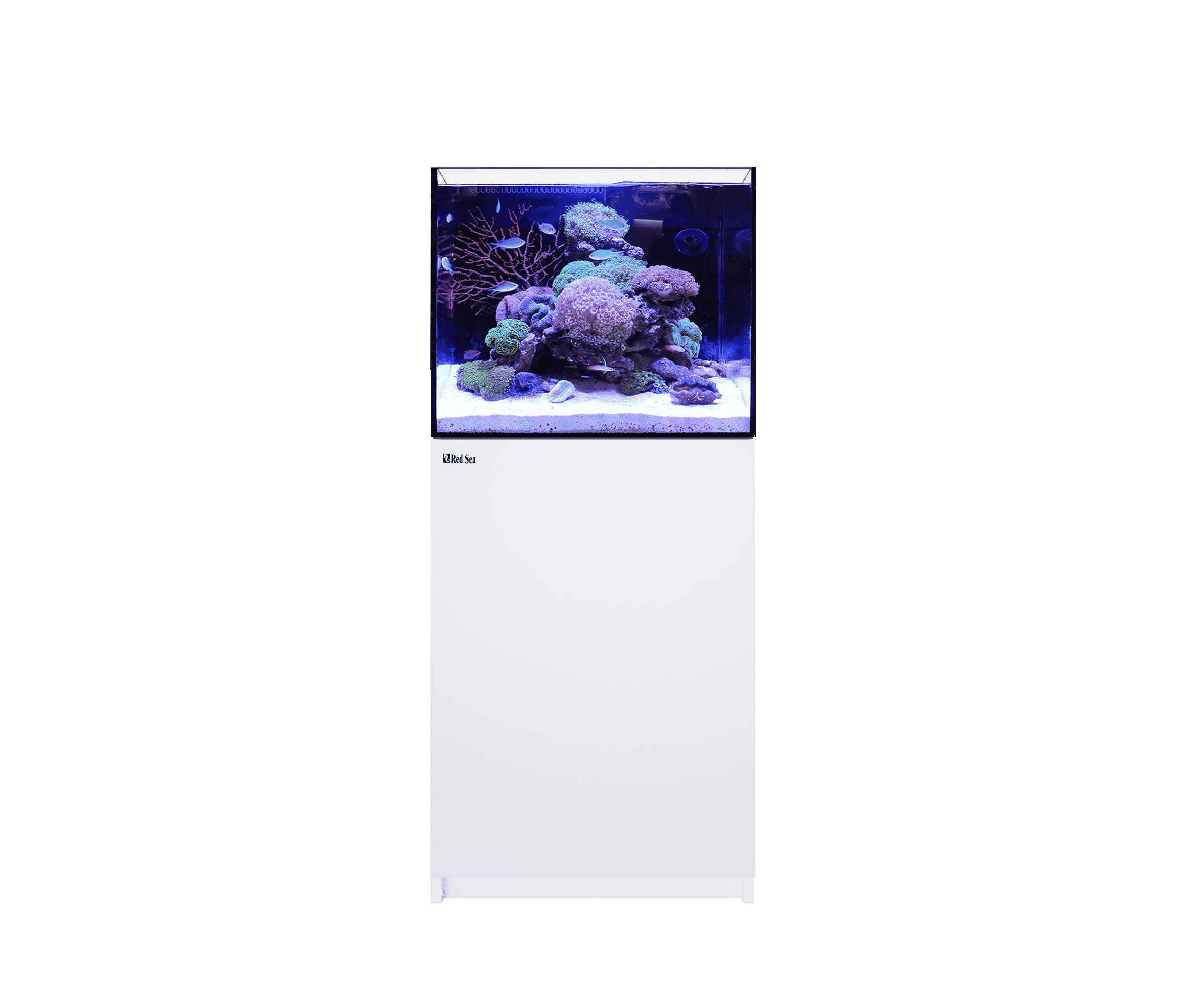 The All-new REEFER G2 モデル&仕様 - Red Sea