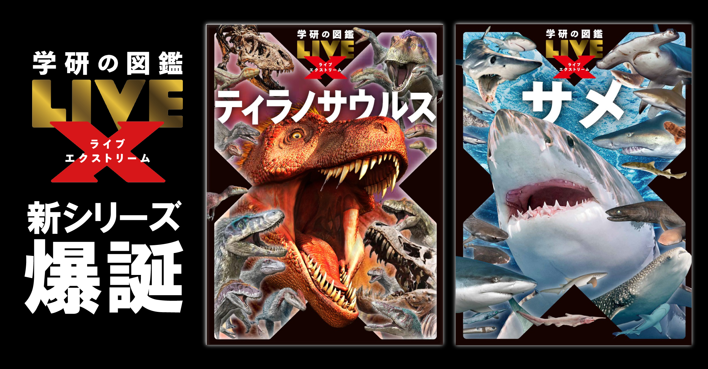 サメ台風 日4枚 サメ台風/4枚セット、トークン付き/日本語/Magic the