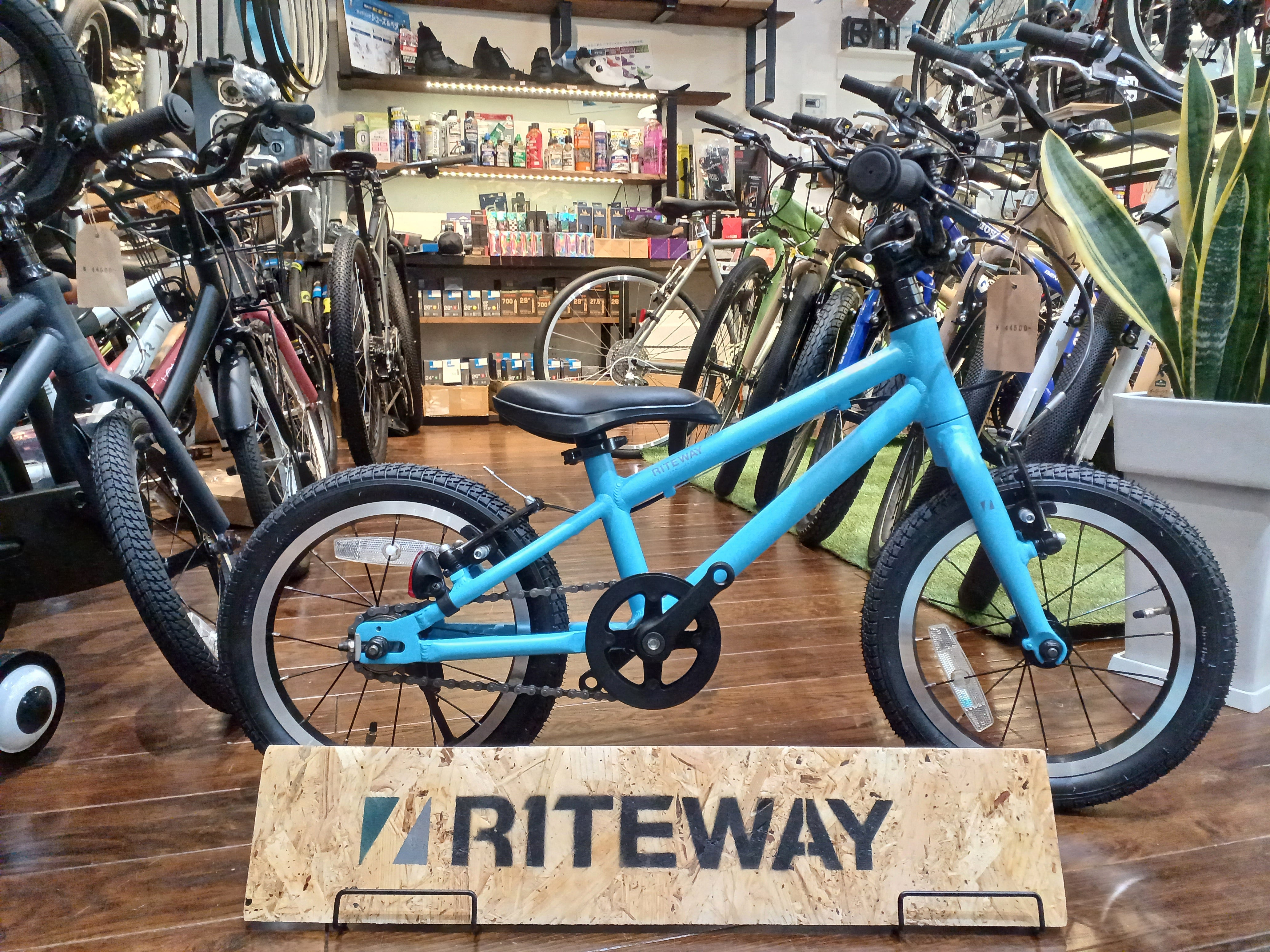ライトウェイ 子供用自転車 20インチ 6段変速 RITEWAY スカイブルー