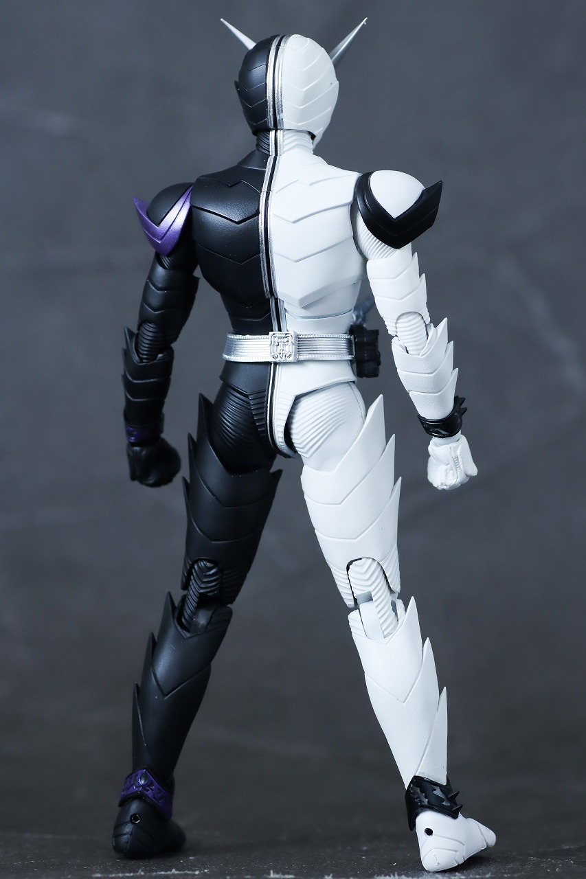 真骨彫 仮面ライダーW サイクロンジョーカー 風都探偵 ファング