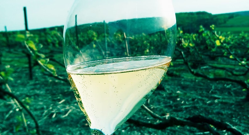 カンティーナ・ボルツァーノ ワイン2005年 田崎真也選 蔵出し