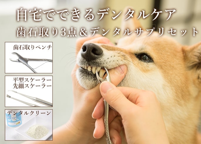 歯石取り3点＆デンタルサプリセット｜ドッグフードの通販・帝塚山