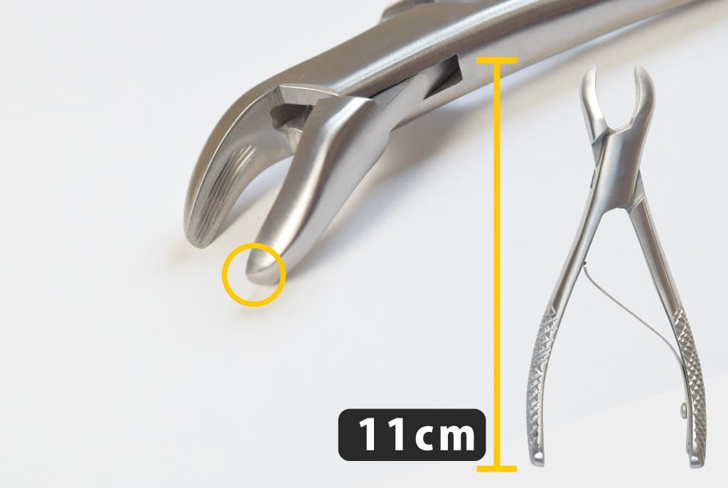 愛犬・愛猫用歯石取りペンチ｜ドッグフードの通販・帝塚山ハウンドカム