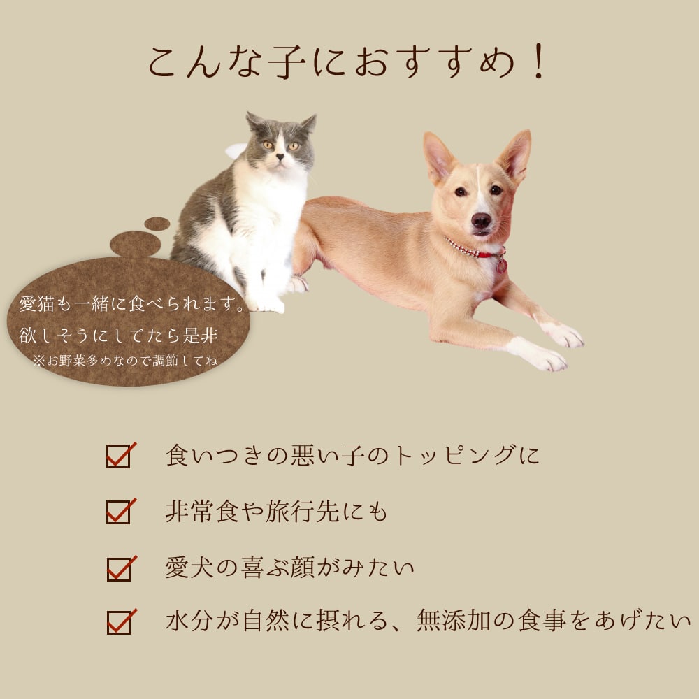 愛犬の安心レトルトごはん 豚バラとゴロゴロ野菜の煮込み100g 1袋/12袋