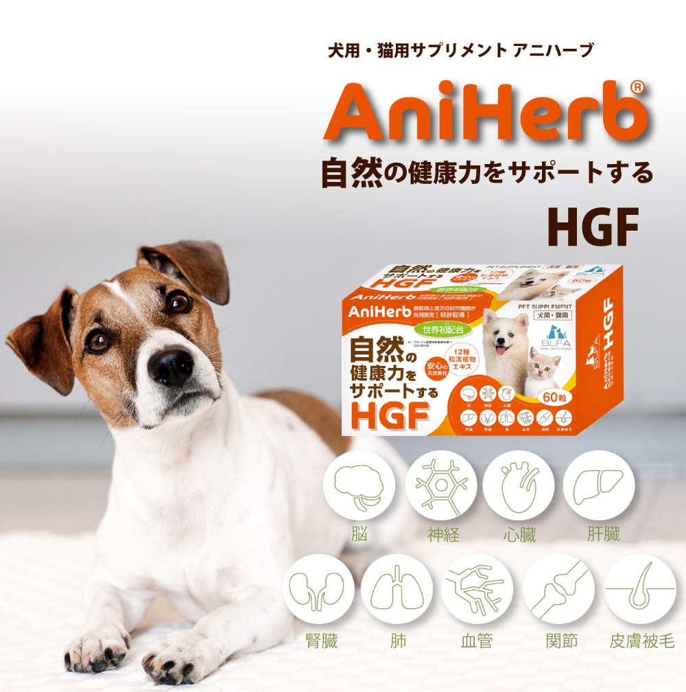 アニミューン 14g 3個セット 【公式通販】