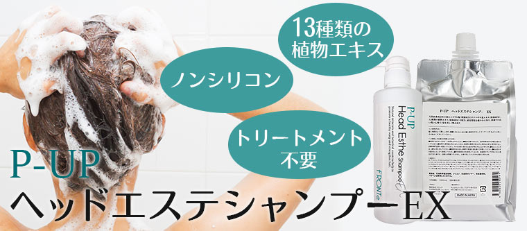 P-UP ヘッドエステシャンプーEX 480ml｜トータルヘルスデザイン公式
