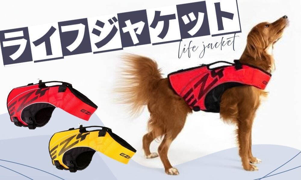 ジウィピーク ZIWI Peak ビーフ レシピ 犬用 ドッグフード 4kg | 犬