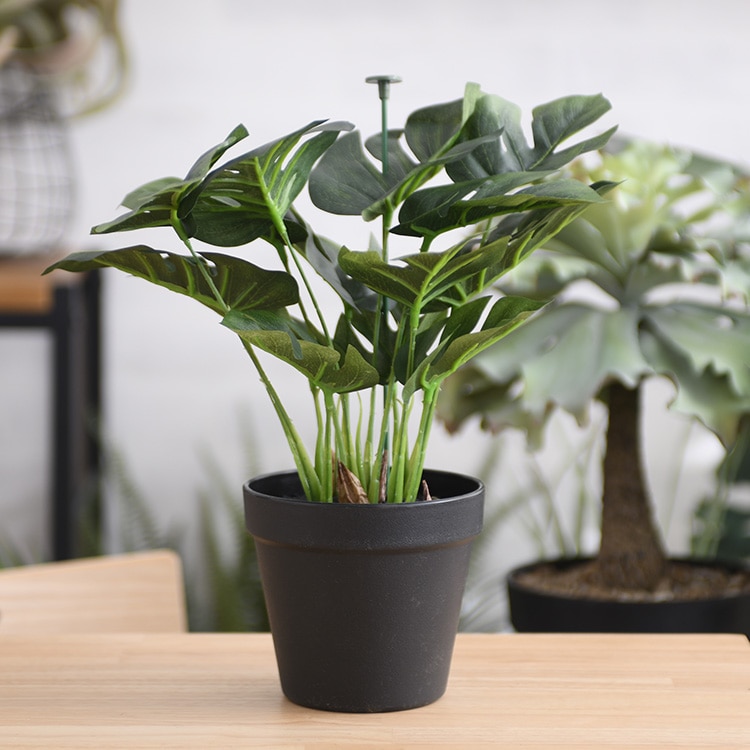 モンステラ テーブル 葉っぱ ブラウン モンステラテーブル葉っぱブラウン