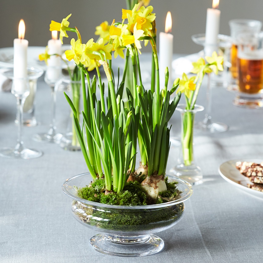 ガラス花瓶 水耕栽培 ホルムガード Old English フラワーボウル 直径