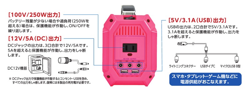 ポータブル電源 大容量 コンパクト 日動工業 ピンバン AC100V 250W LPE