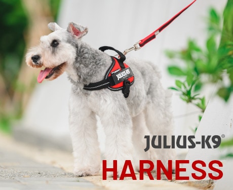 首輪・ハーネス・リード Julius-K9Mantrailing Dog Harness L-XL